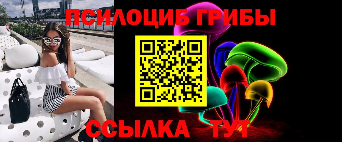 Псилоцибиновые грибы Psilocybine cubensis Выборг