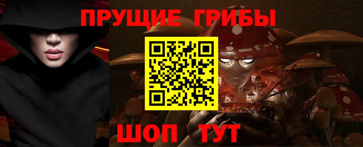 Псилоцибиновые грибы MAGIC MUSHROOMS  где найти   Выборг  Вход с VPN 